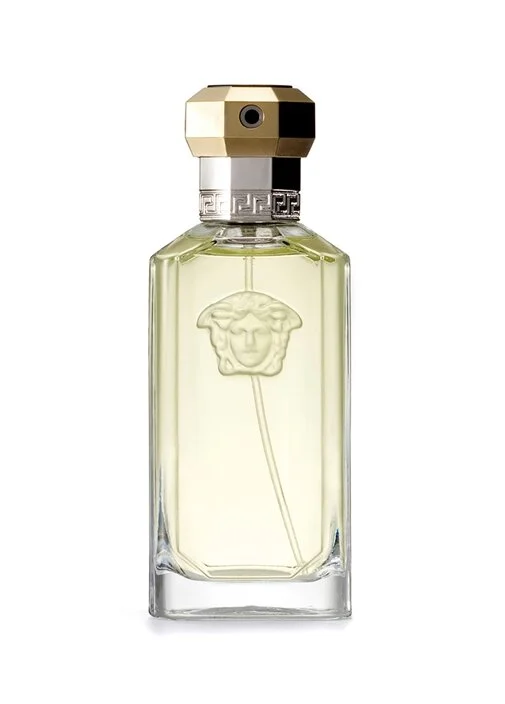 versace dreamer perfume